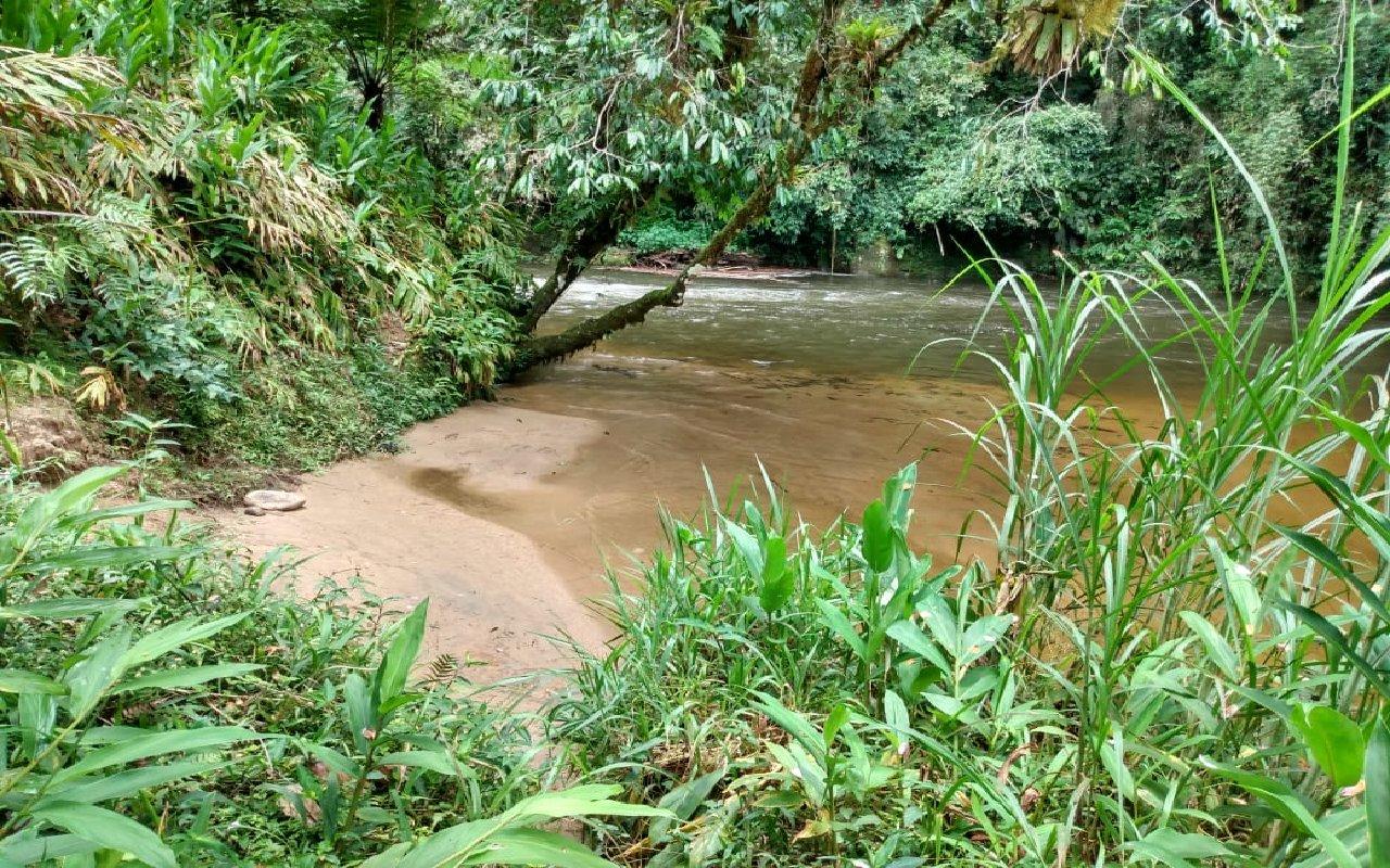 Terreno de 2 Hectares com Beira Rio em Visconde de Mauá