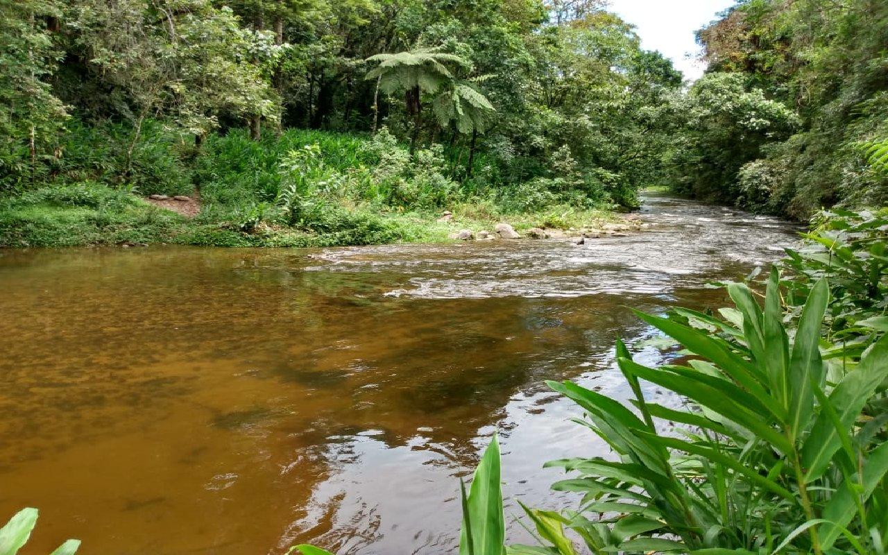Terreno de 2 Hectares com Beira Rio em Visconde de Mauá