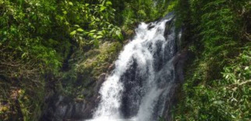 Cachoeira do Santuário