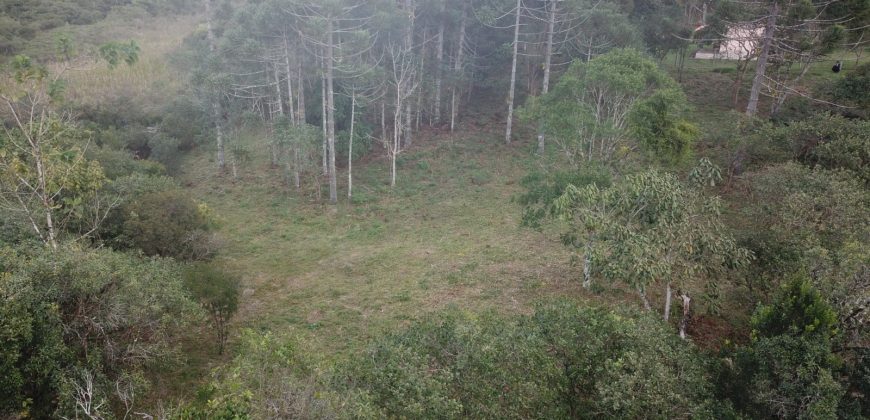 Terreno na Lajinha Terreno na Lajinha