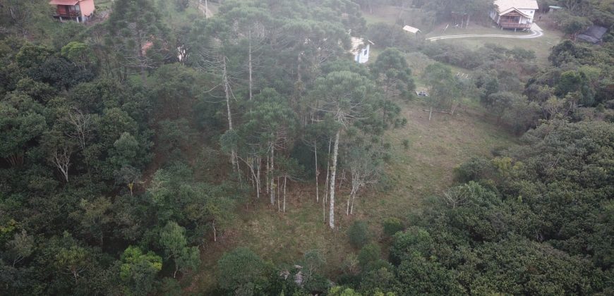 Terreno na Lajinha Terreno na Lajinha
