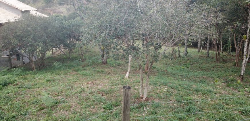 Terreno na Lajinha Terreno na Lajinha