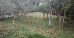 Terreno na Lajinha Terreno na Lajinha