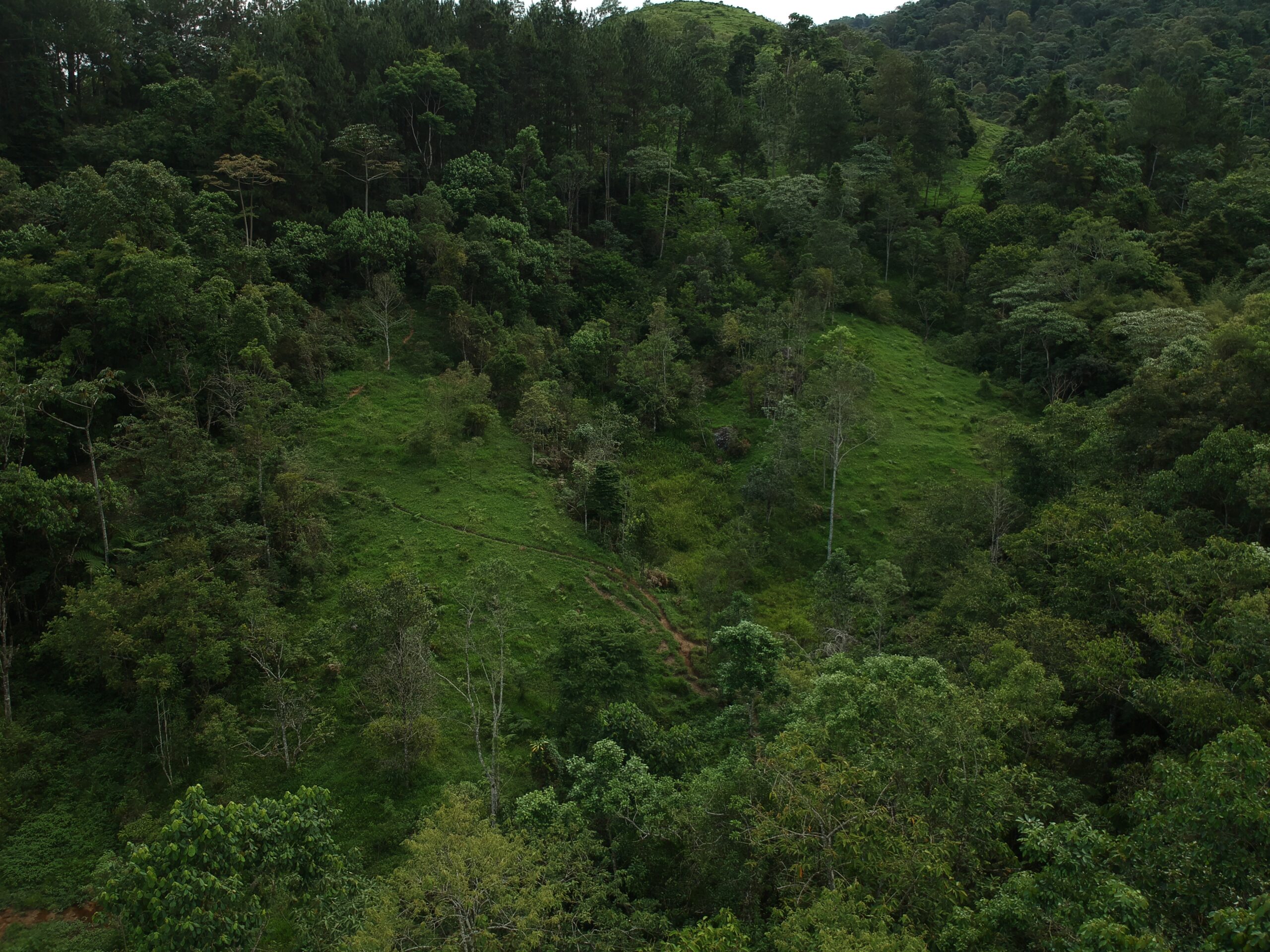 Terrenos no Pico Gavião
