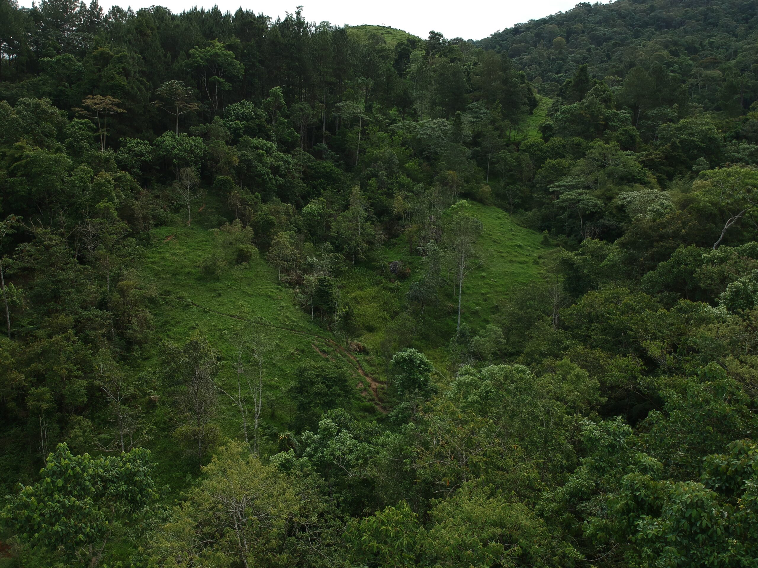Terrenos no Pico Gavião
