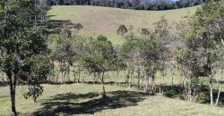 Terreno Próximo a Pedra Selada Terreno Próximo a Pedra Selada