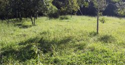 Terreno Próximo a Pedra Selada Terreno Próximo a Pedra Selada