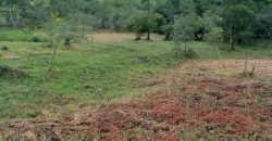 Terreno Próximo a Pedra Selada Terreno Próximo a Pedra Selada