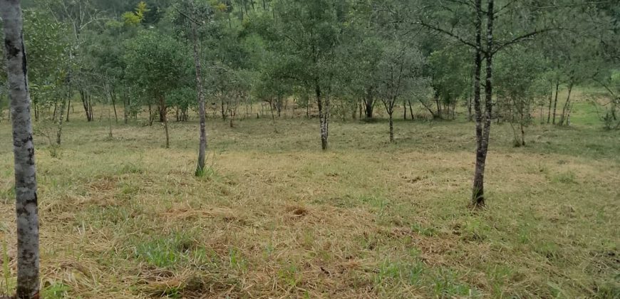 Terreno Próximo a Pedra Selada Terreno Próximo a Pedra Selada