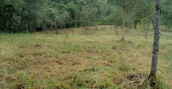 Terreno Próximo a Pedra Selada Terreno Próximo a Pedra Selada