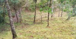 Terreno Próximo a Pedra Selada Terreno Próximo a Pedra Selada