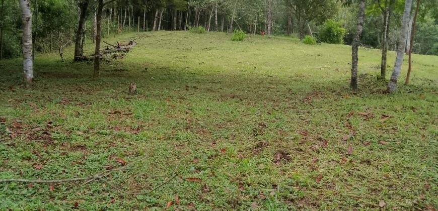 Terreno Próximo a Pedra Selada Terreno Próximo a Pedra Selada