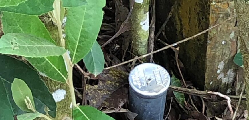 Terreno no Vale das Cruzes