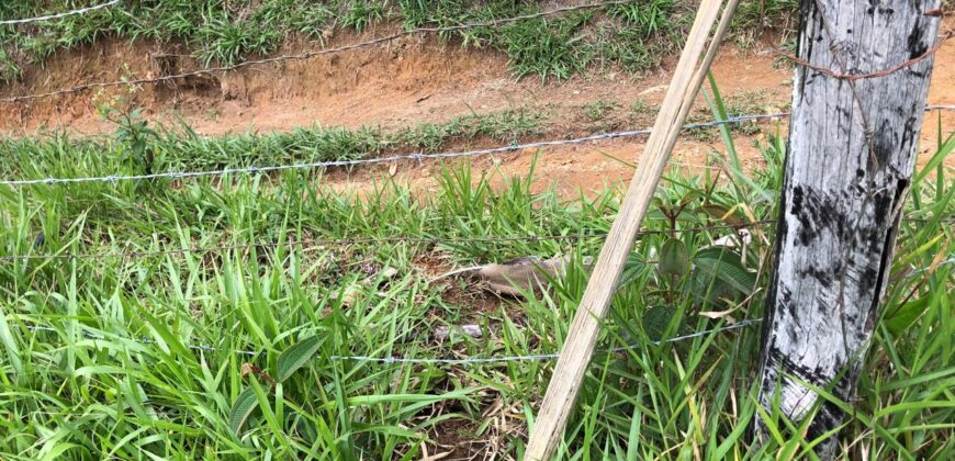 Terreno no Vale das Cruzes