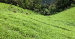 Terreno no Vale das Cruzes