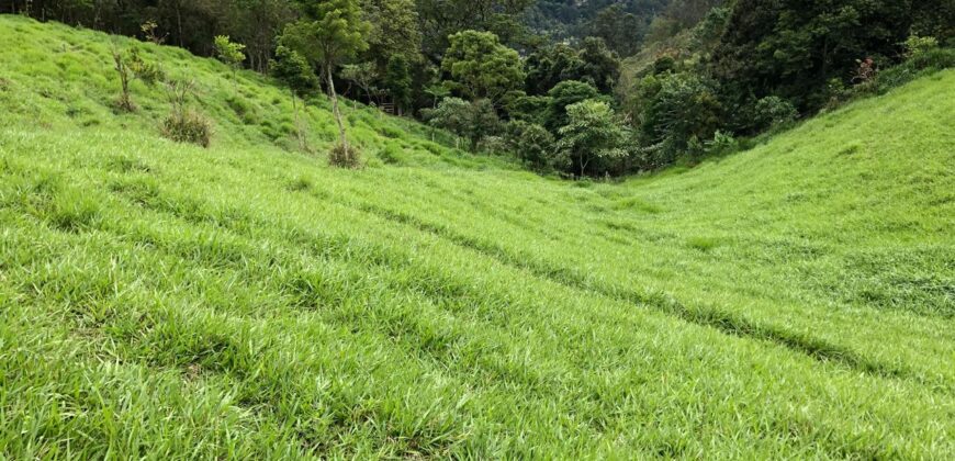 Terreno no Vale das Cruzes