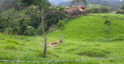 Terreno no Vale das Cruzes