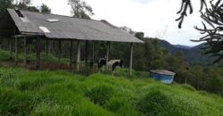 Terreno no Vale das Cruzes