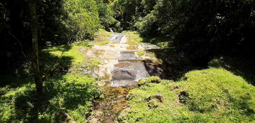 Sítio com Cachoeira no Alto do Alcantilado