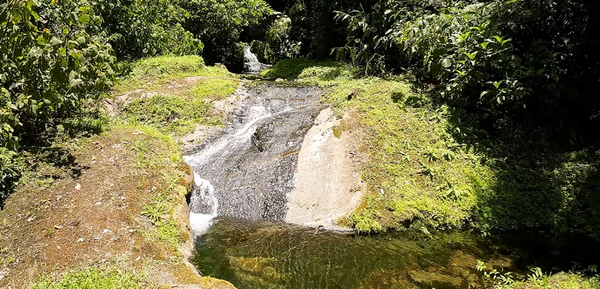Sítio com Cachoeira no Alto do Alcantilado