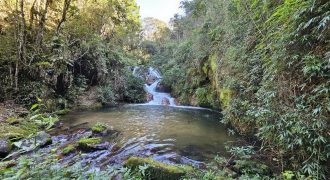 Trutário em Santo Antônio