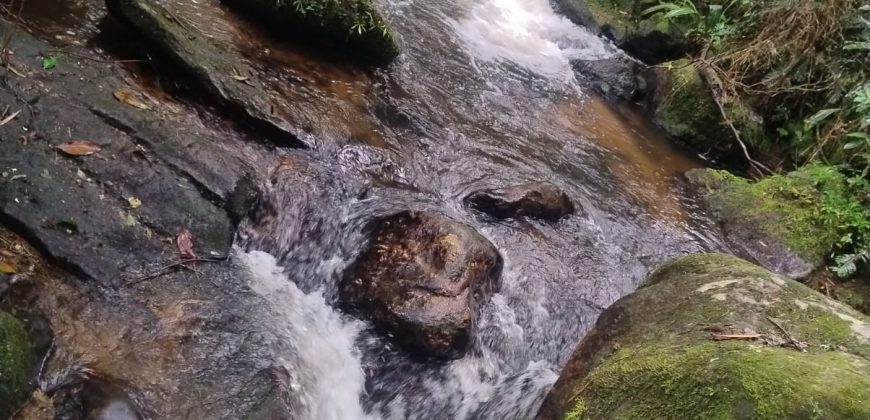 Sítio na Cachoeira do Paiol