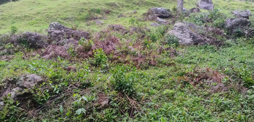 Sítio na Cachoeira do Paiol