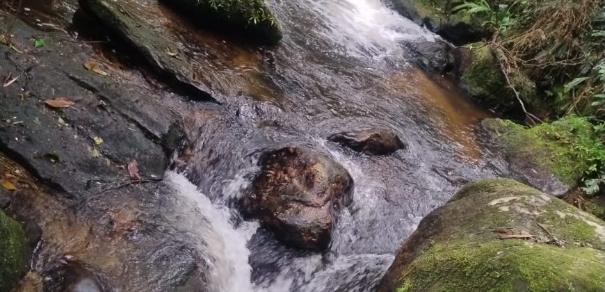 Sítio na Cachoeira do Paiol