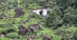 Sítio na Cachoeira do Paiol