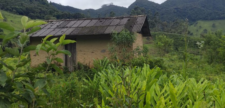 Sítio na Cachoeira do Paiol