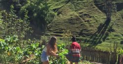 Sítio com Cachoeiras em Santo Antônio