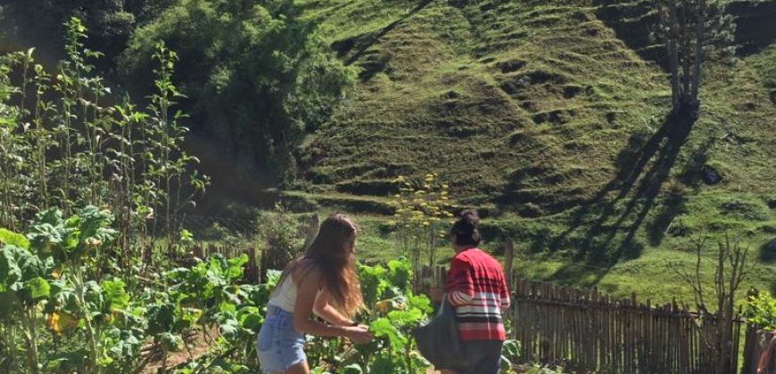 Sítio com Cachoeiras em Santo Antônio