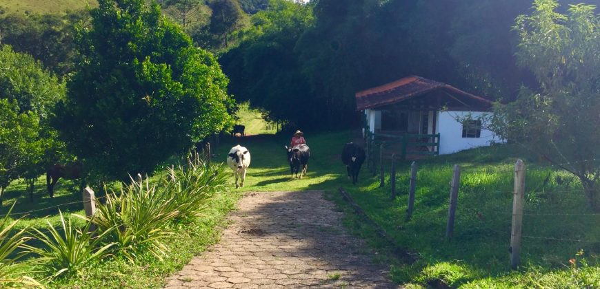 Sítio com Cachoeiras em Santo Antônio
