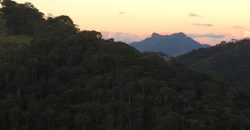 Sítio no Vale das Cruzes