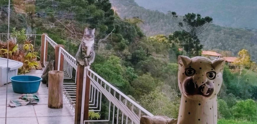 Sítio no Vale das Cruzes