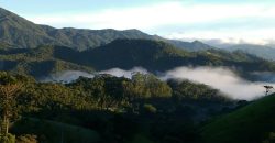 Sítio no Vale das Cruzes