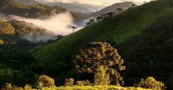 Sítio no Vale das Cruzes