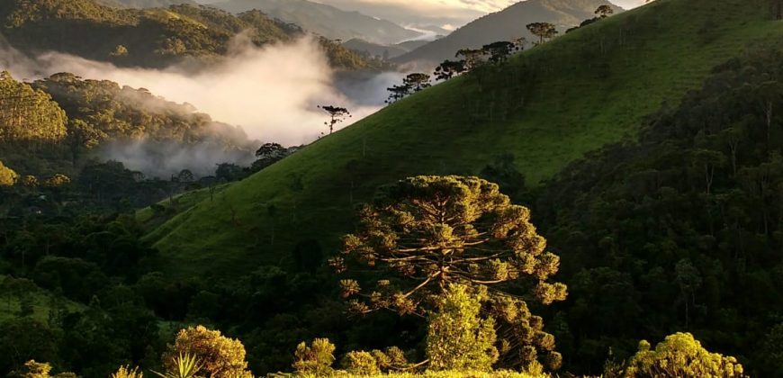 Sítio no Vale das Cruzes