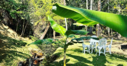 Chalé Alpino no Campo Alegre