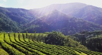Fazenda em Carvalhos