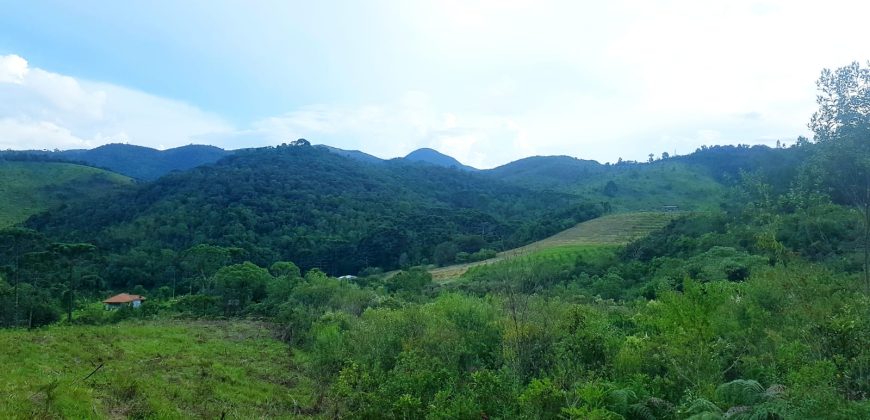 Fazenda em Carvalhos