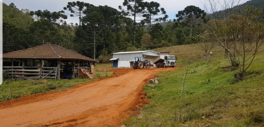 Fazenda em Carvalhos