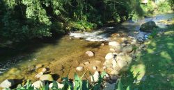 Terreno na parte alta da Vila de Maringá – RJ