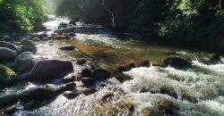 Terreno na parte alta da Vila de Maringá – RJ