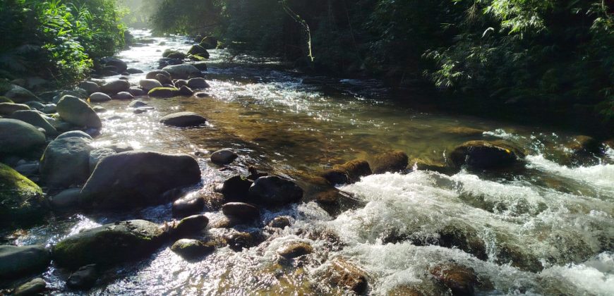 Terreno na parte alta da Vila de Maringá – RJ