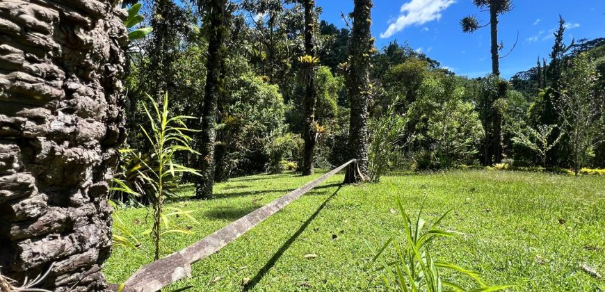 Casa em Maringá Casa em Maringá
